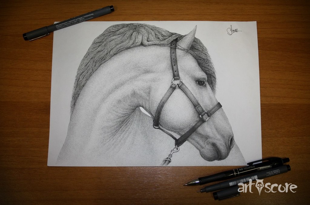 Equus (Horse)